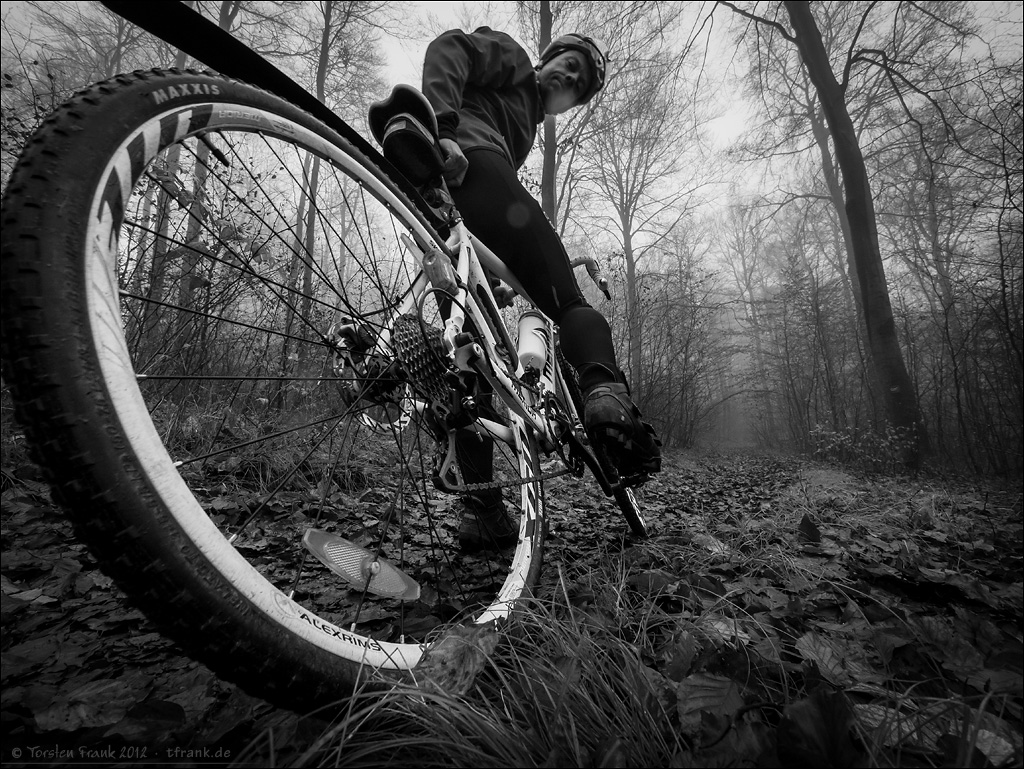 Foggy November Cross