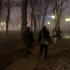 Foggy park