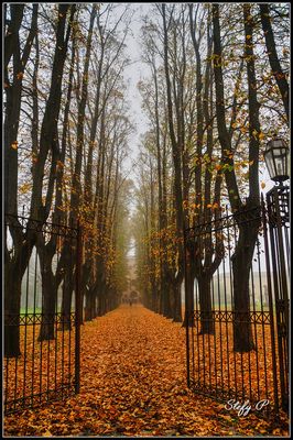 Foggy path (reloaded)