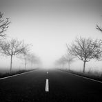 Foggy Road