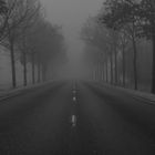 foggy road