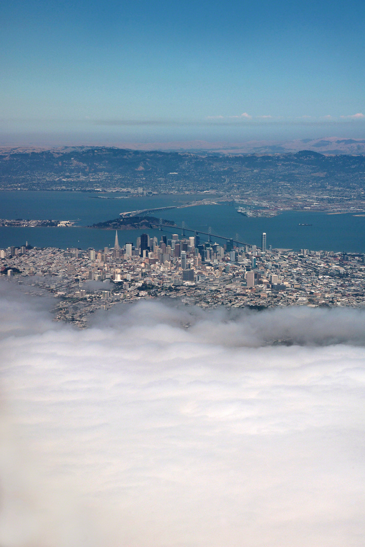 foggy San Francisco