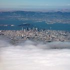 foggy San Francisco