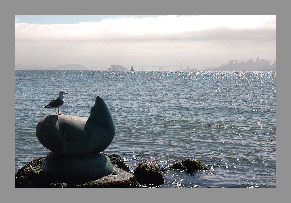 foggy San Francisco - sunny Sausalito