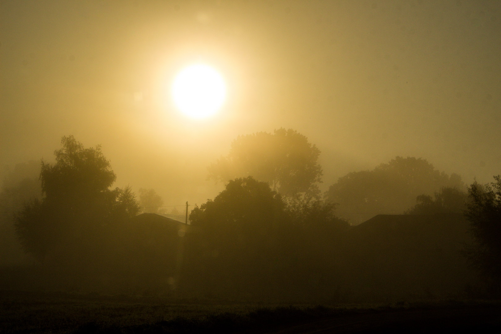 Foggy September