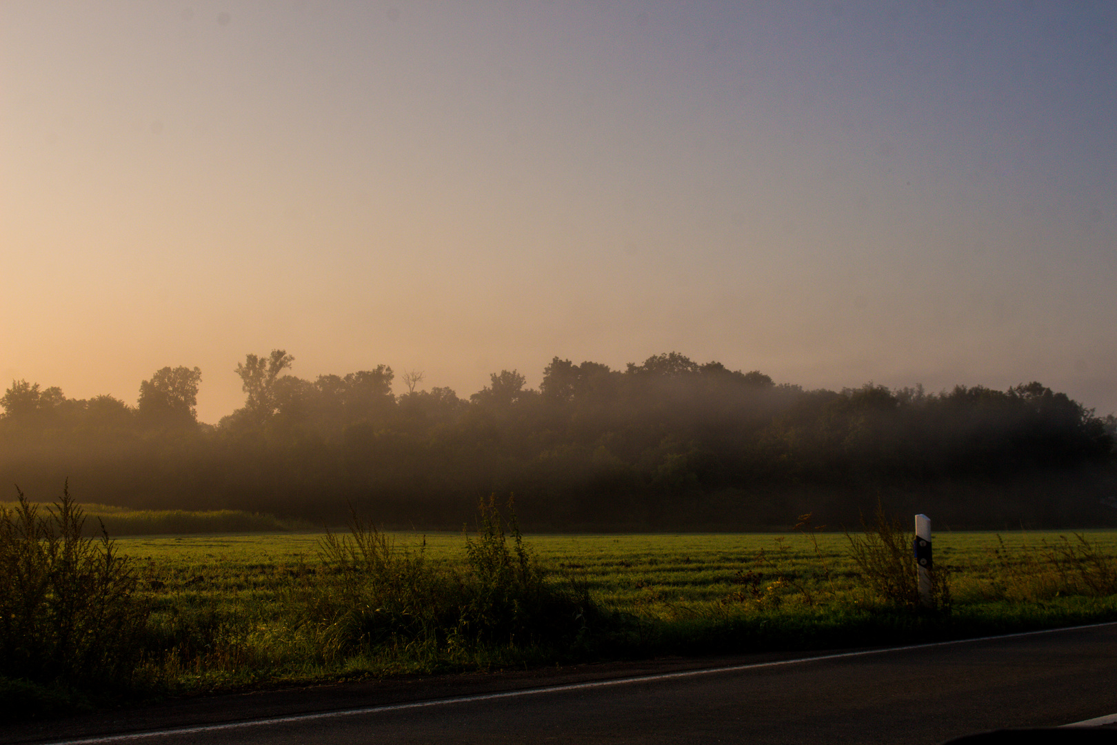 Foggy September