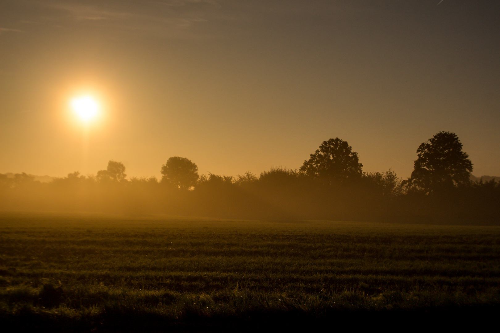 Foggy September