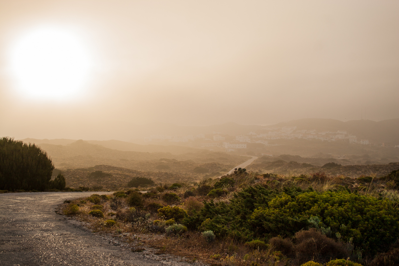 foggy sun