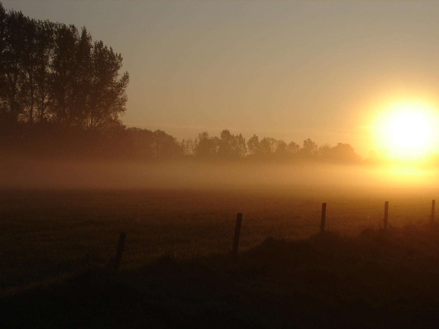 foggy sun