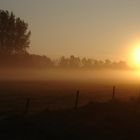 foggy sun