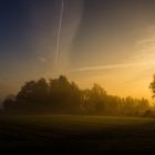 Foggy Sunrise