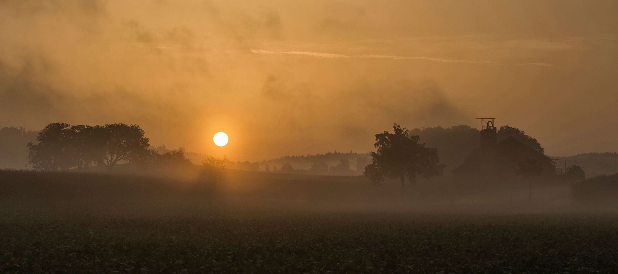 Foggy Sunrise