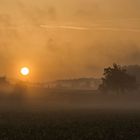 Foggy Sunrise