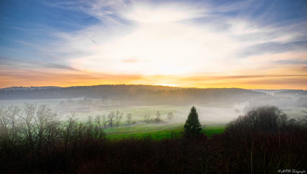 " Foggy Sunrise "