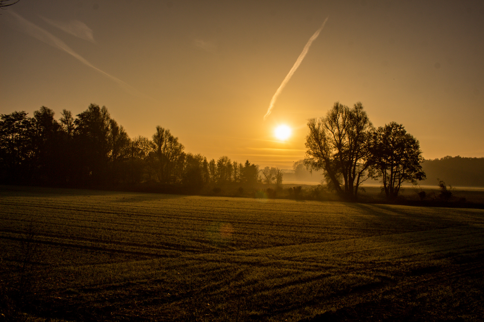 Foggy Sunrise