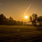 Foggy Sunrise