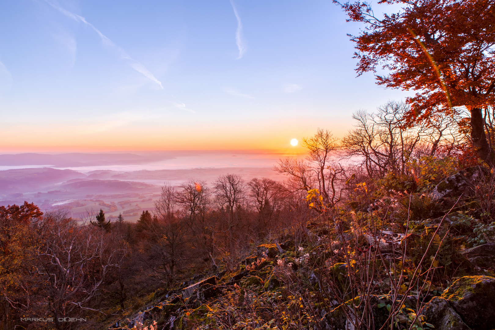 Foggy Sunrise