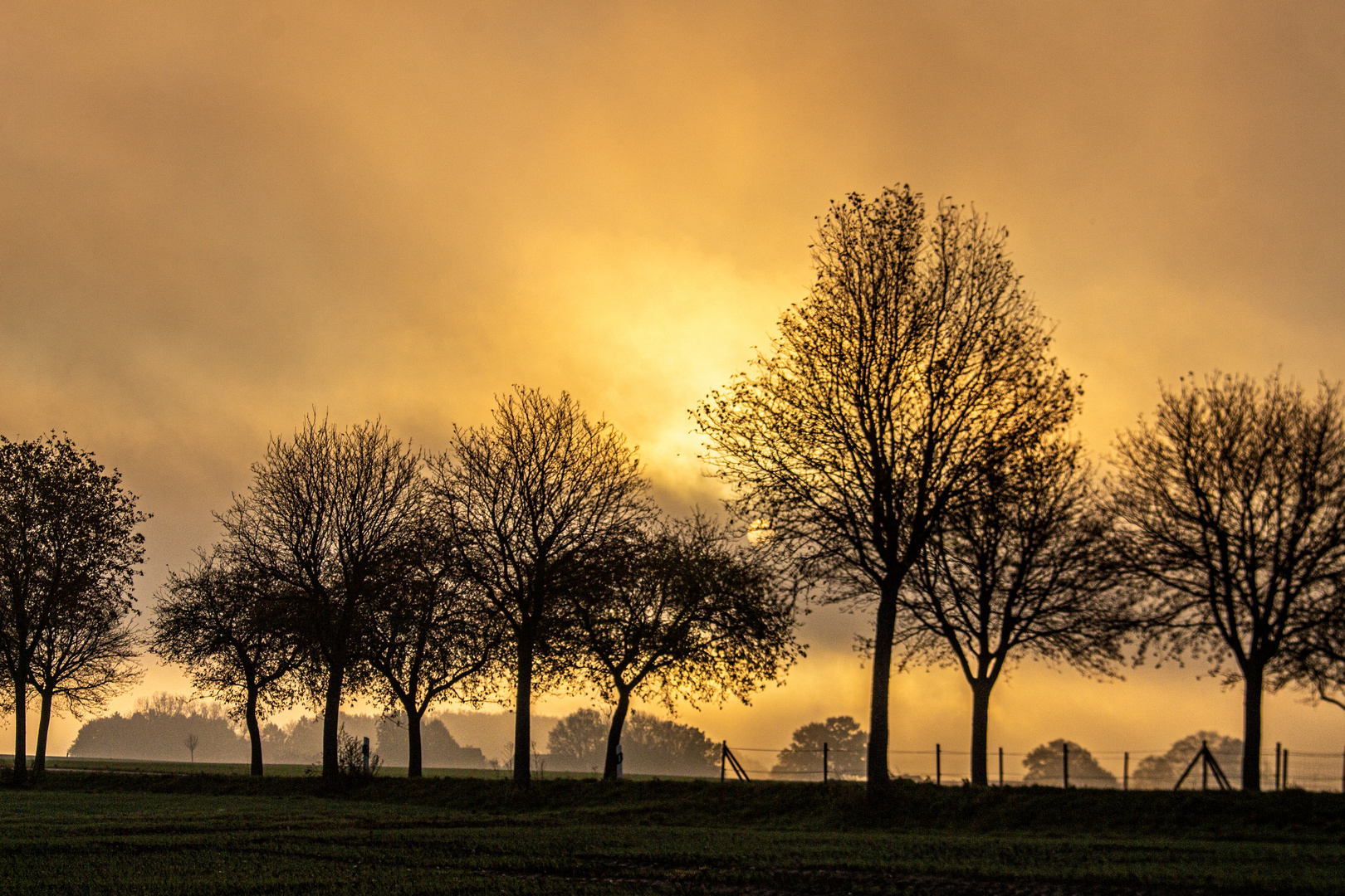 Foggy Sunrise