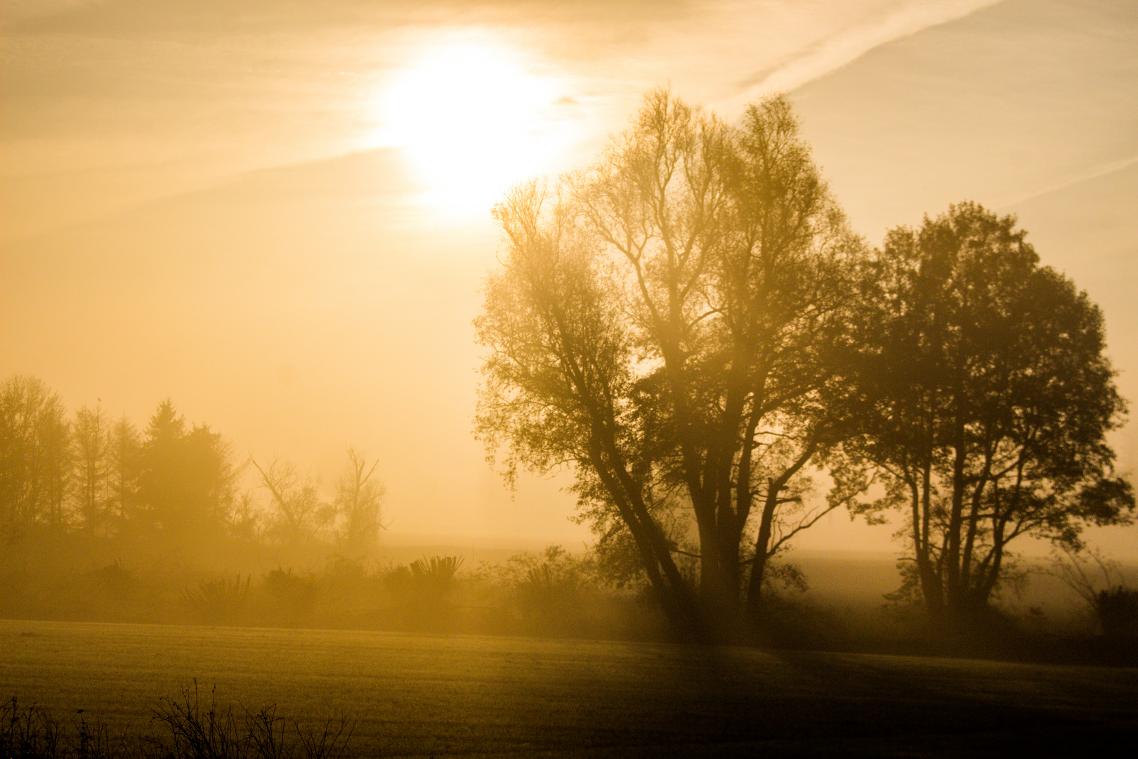 Foggy Sunrise