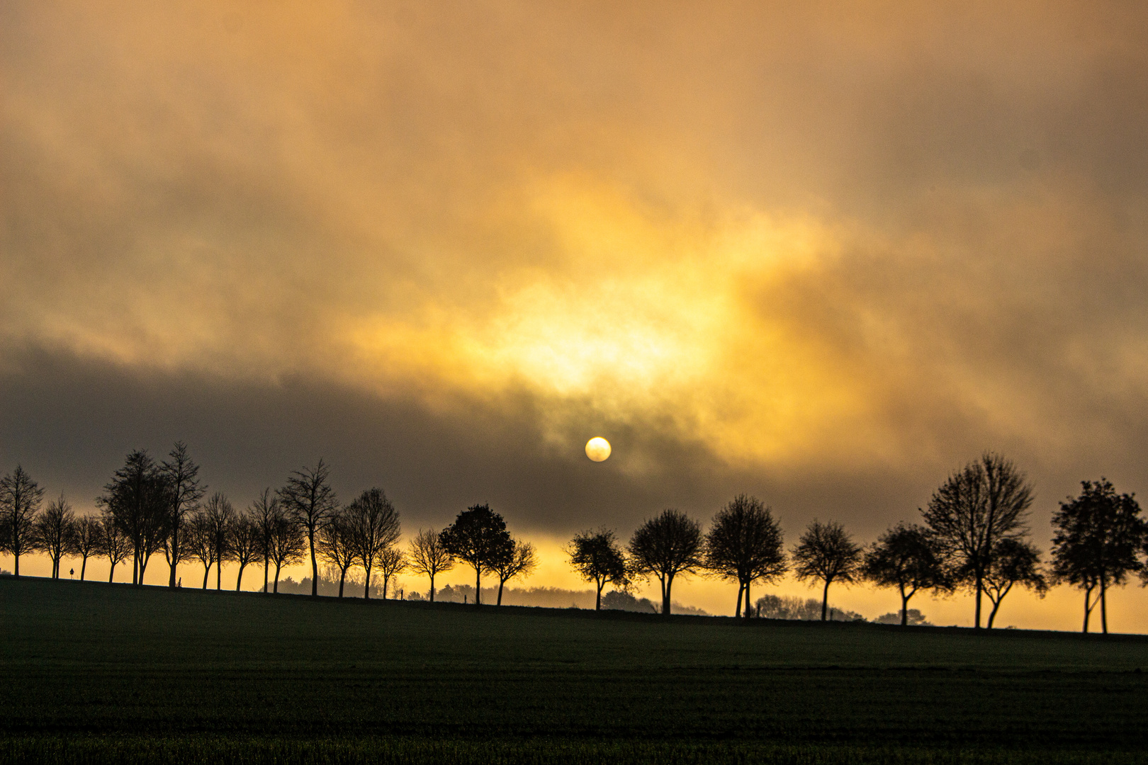 Foggy Sunrise