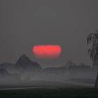 Foggy sunrise