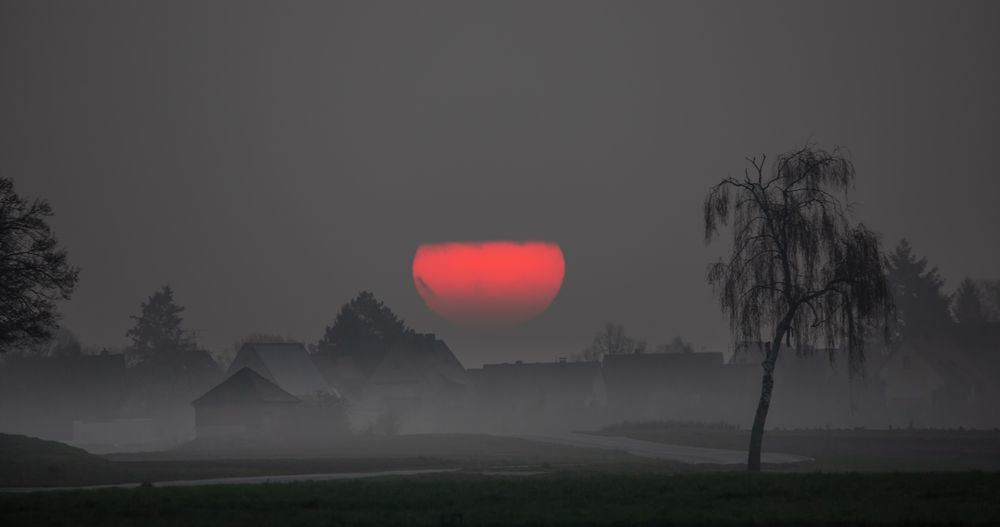 Foggy sunrise