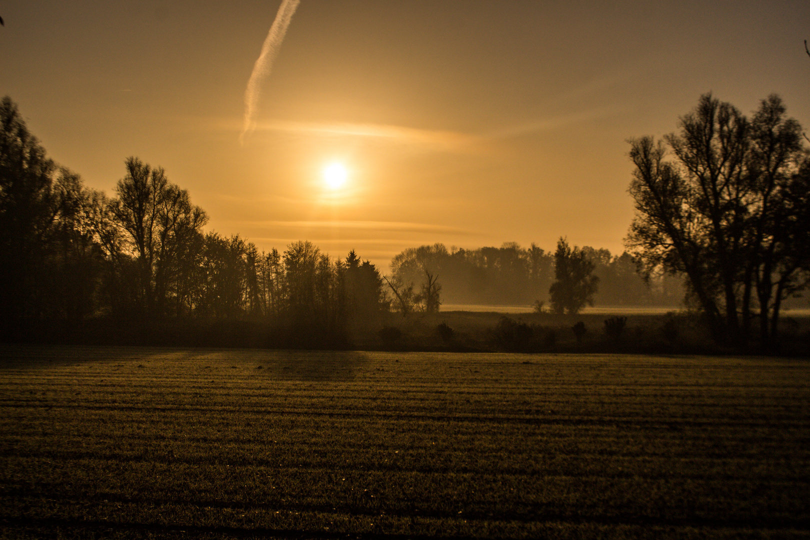 Foggy Sunrise