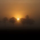 foggy sunrise