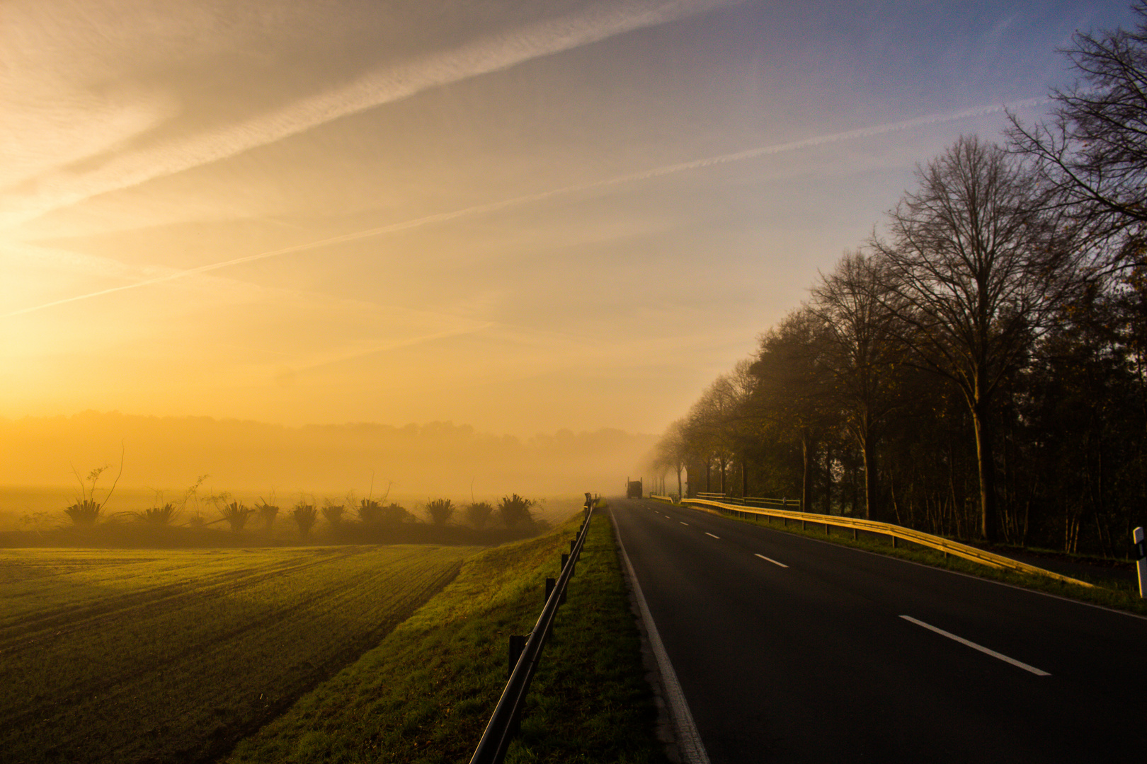 Foggy Sunrise