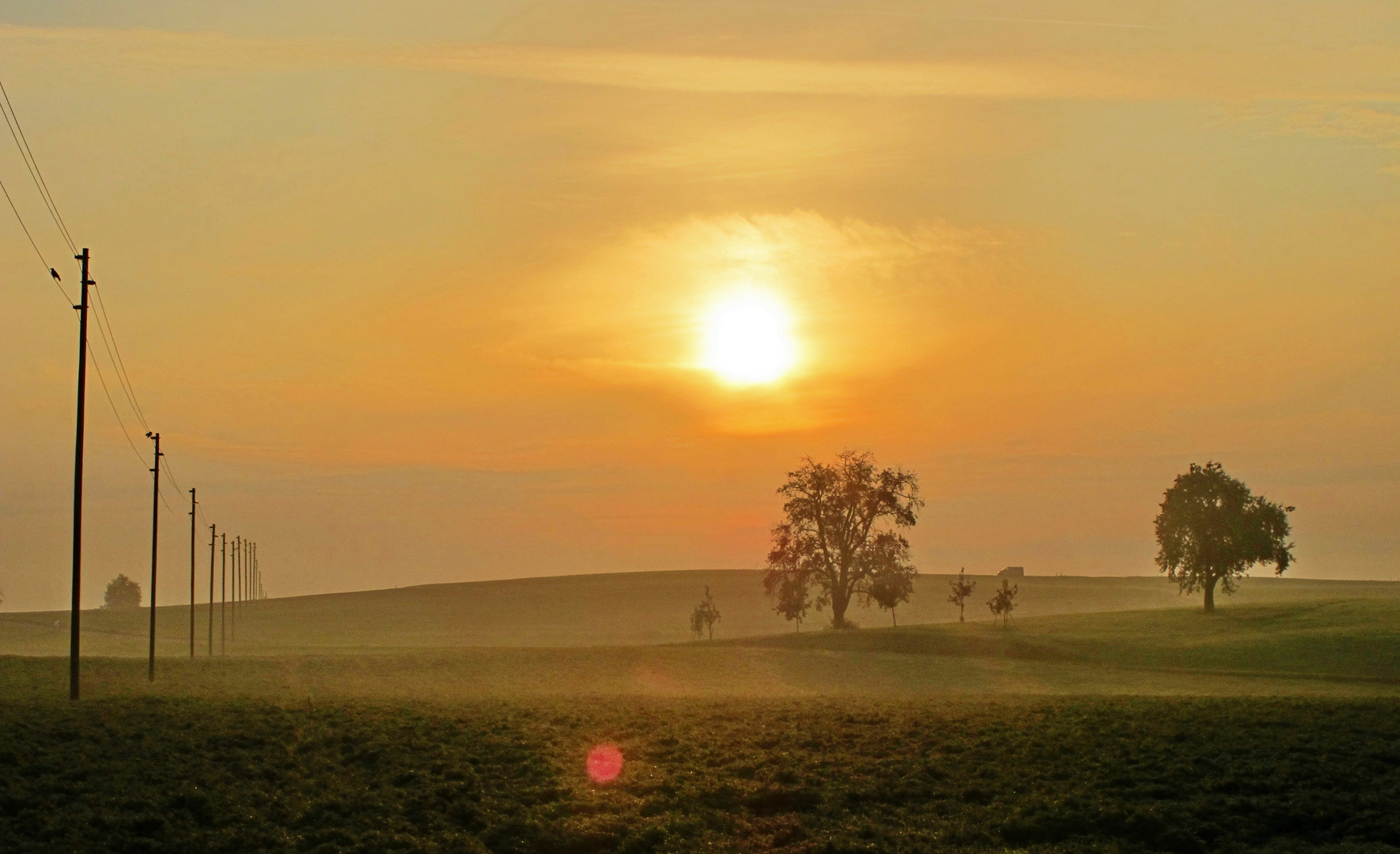 foggy sunrise