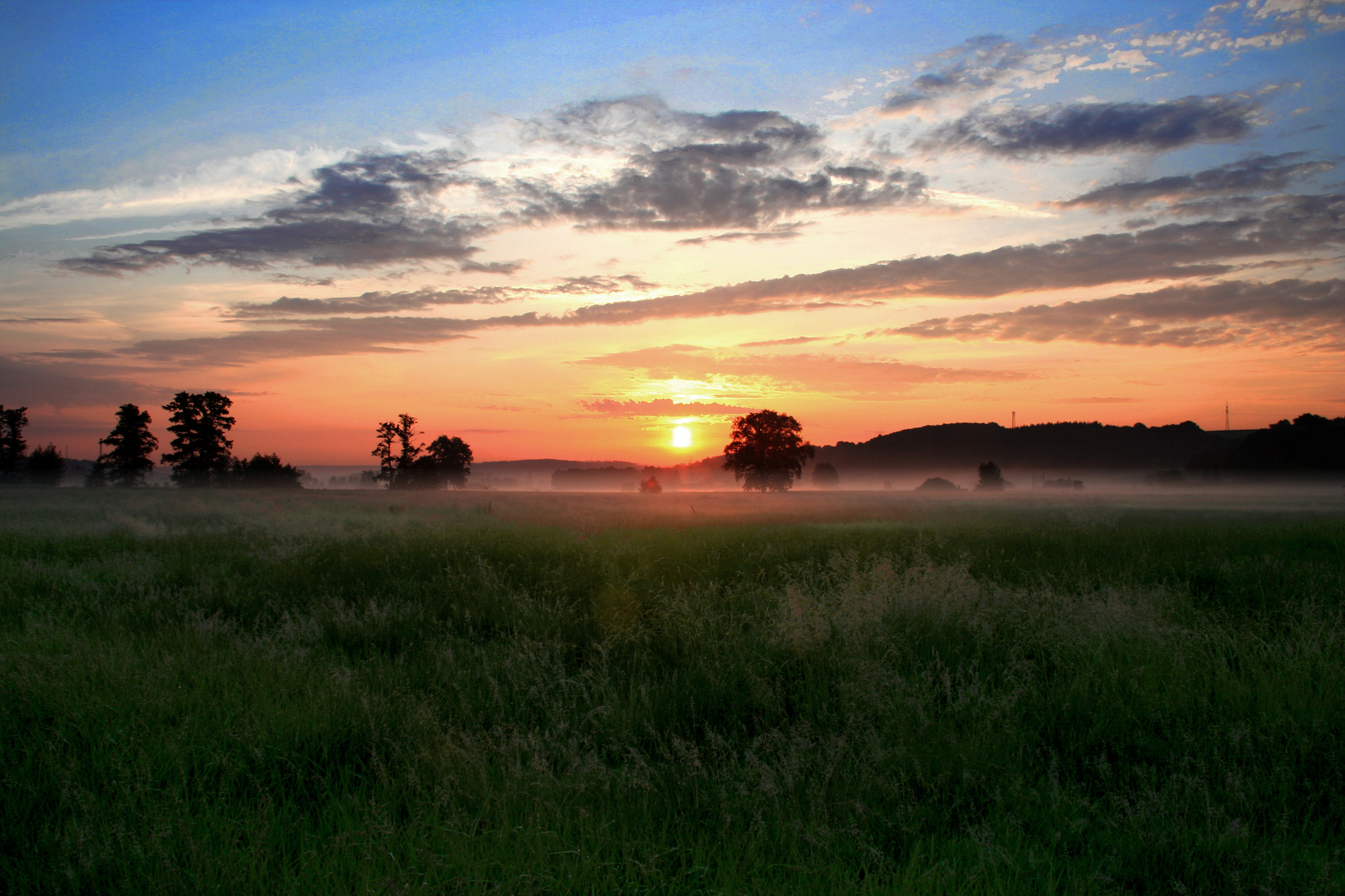 foggy sunrise