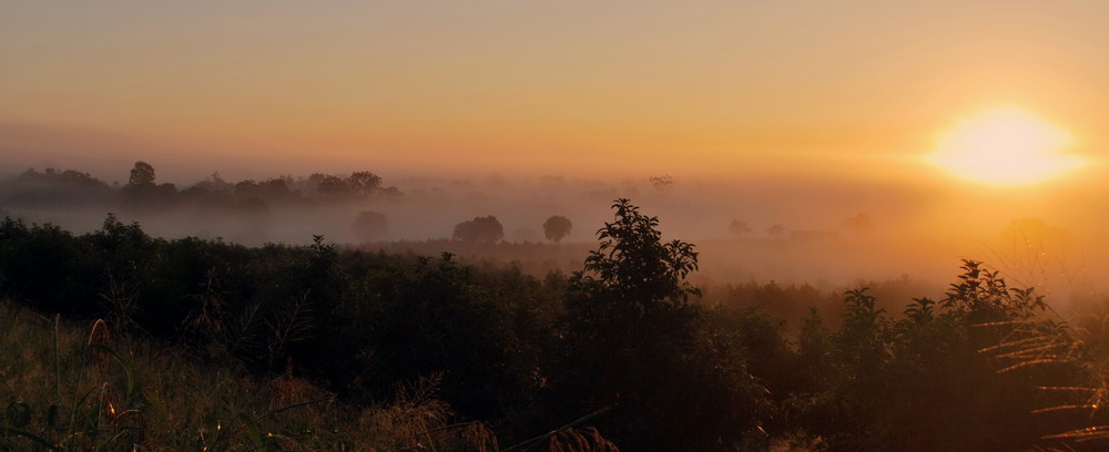 Foggy Sunrise