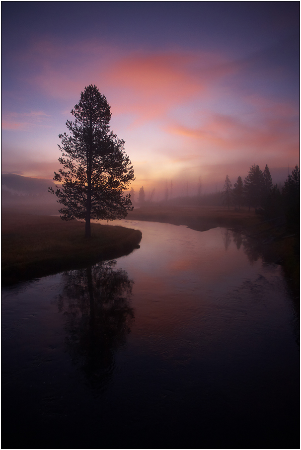 foggy sunrise