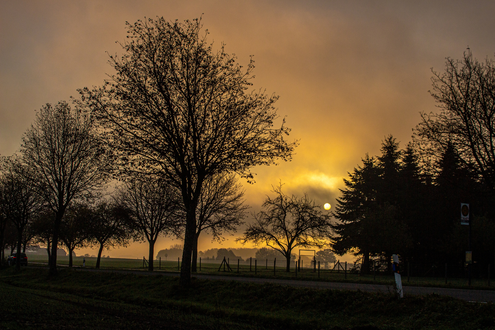 Foggy Sunrise