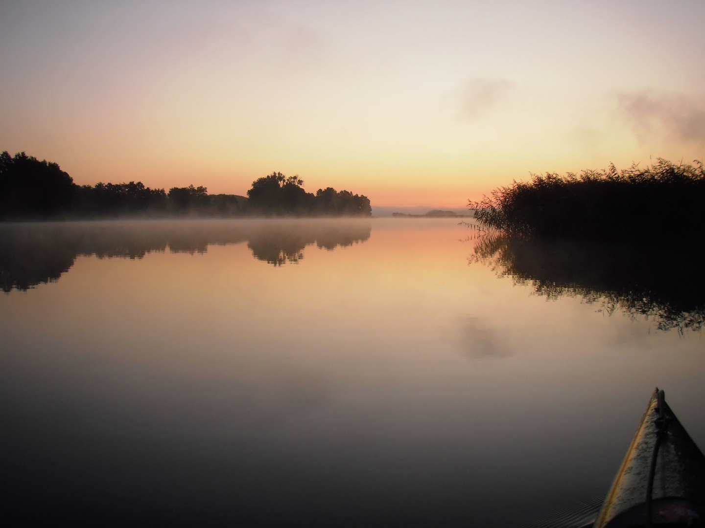 Foggy Sunrise