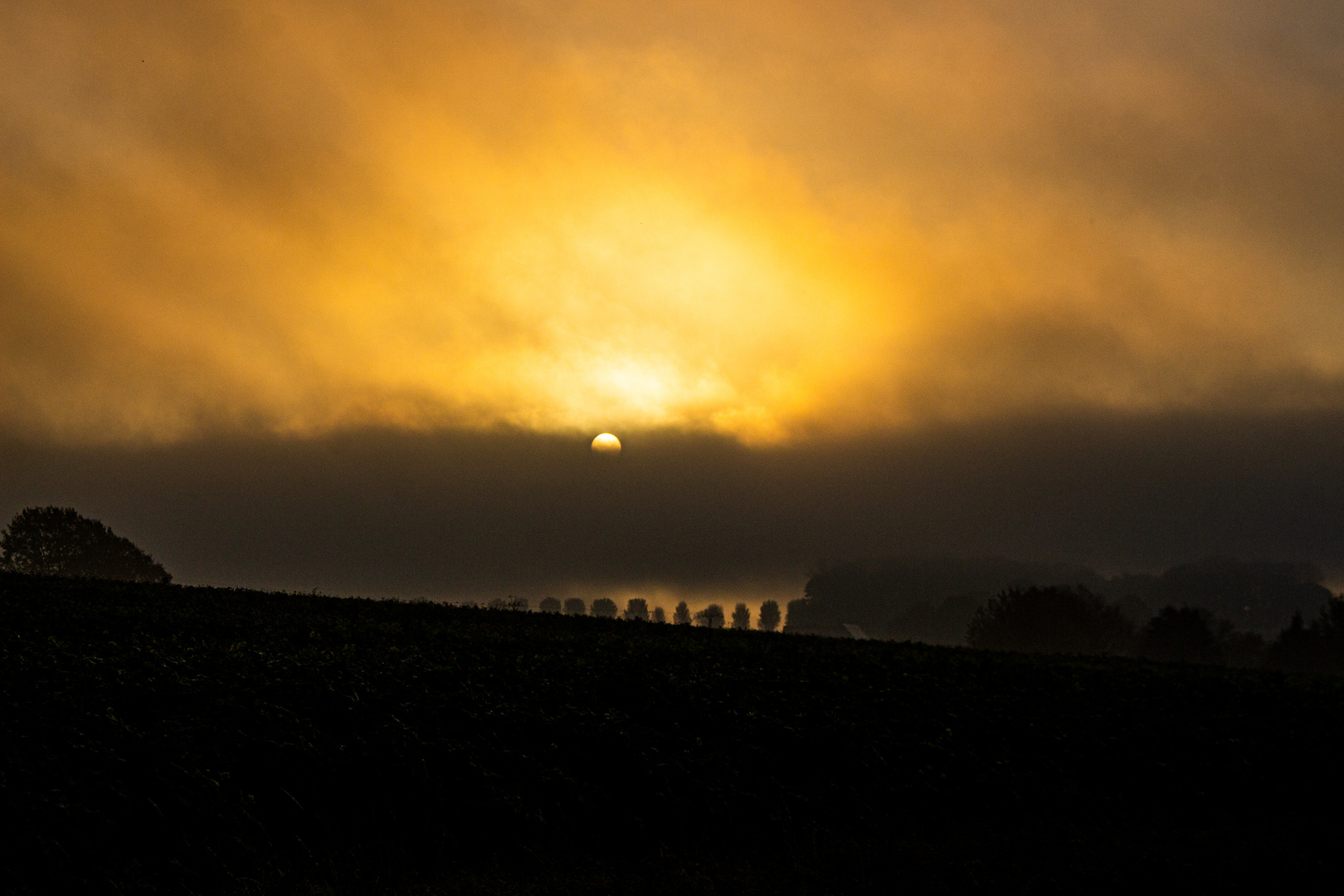 Foggy Sunrise