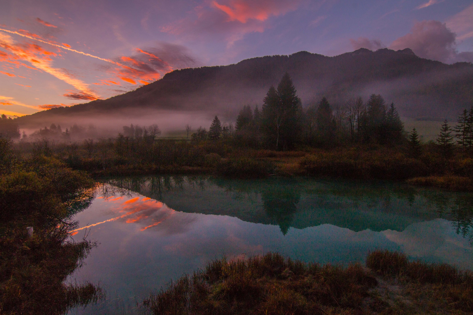 Foggy sunrise