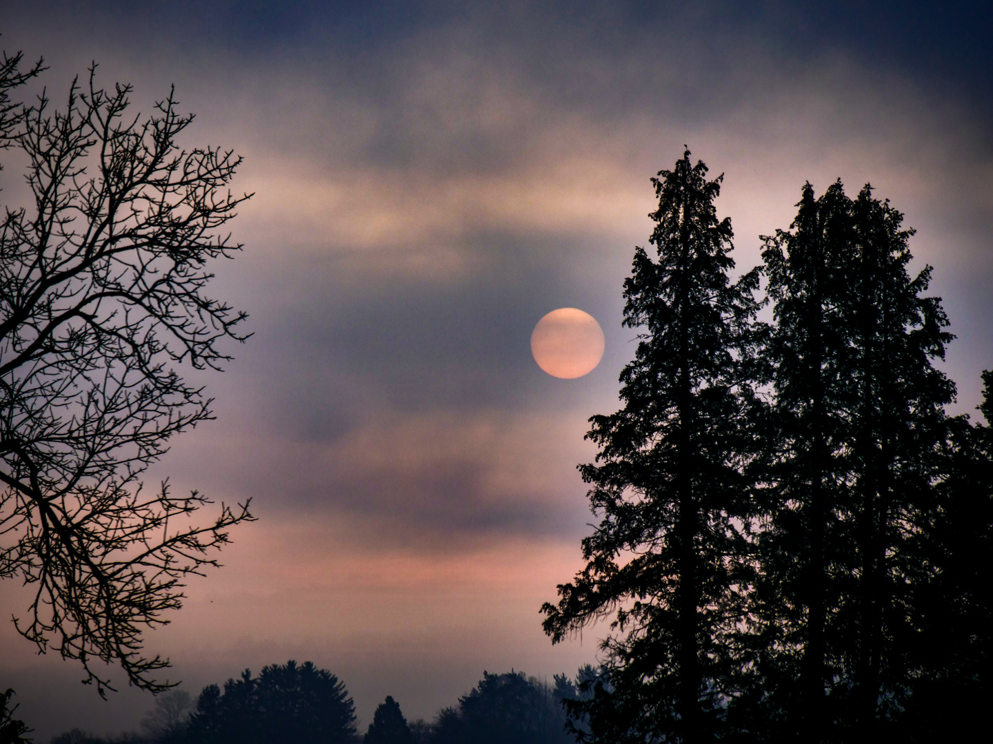 Foggy  Sunrise