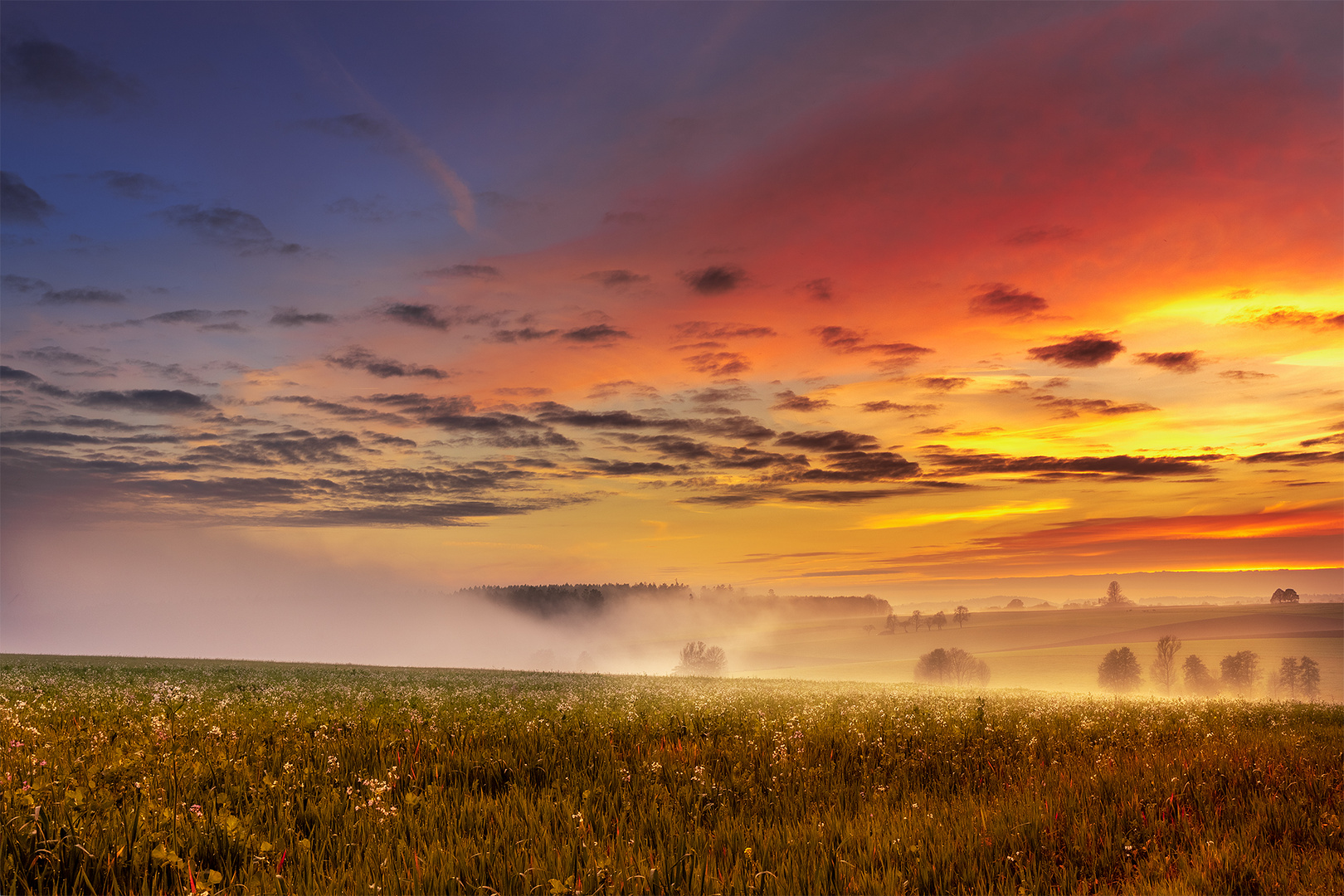 foggy sunset