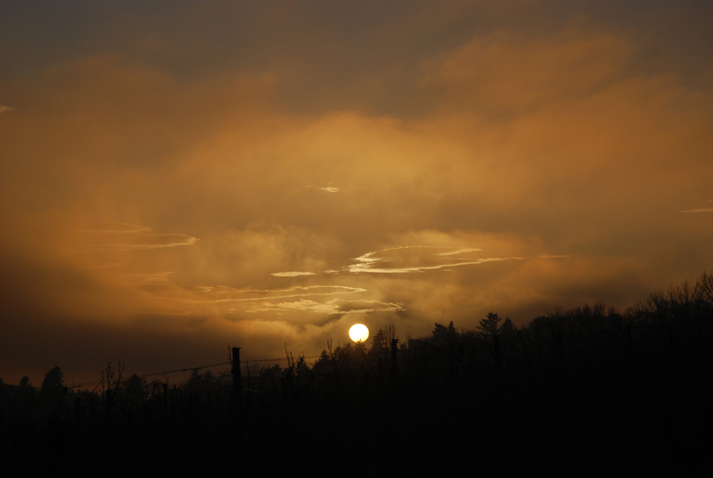 foggy sunset