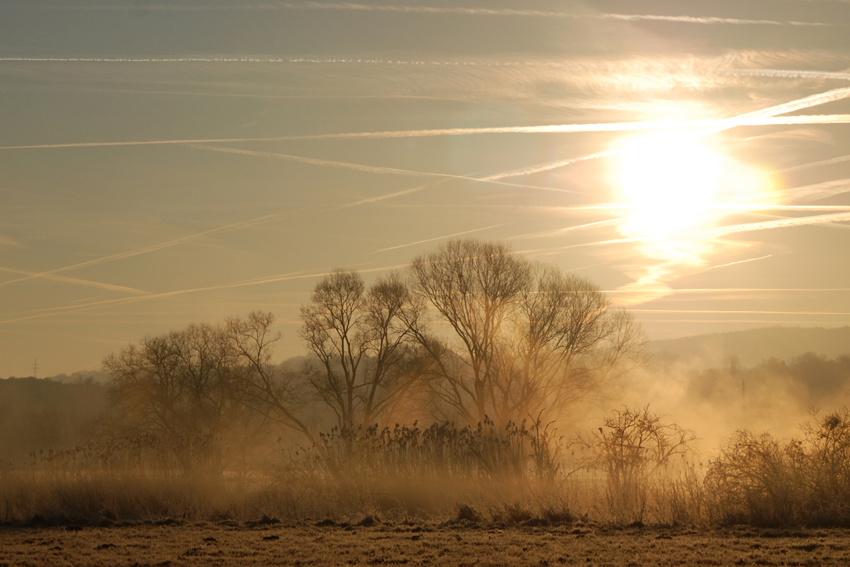 foggy sunset