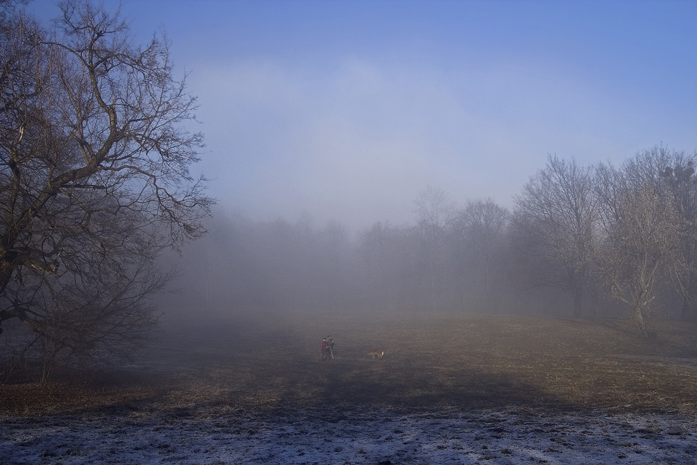 Foggy walk...