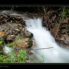 Foggy Water