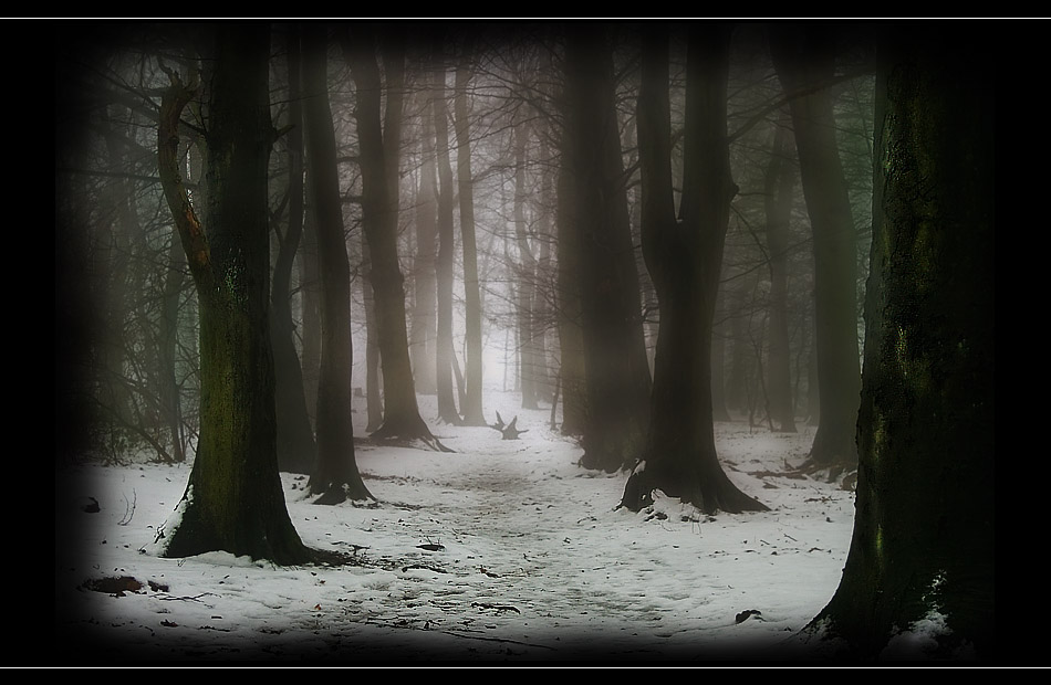 foggy winter tales