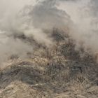 Foggy Zugspitze