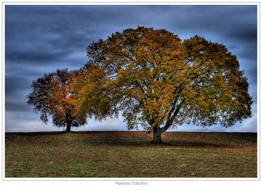 Foglie d'autunno