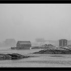 Fogo Island 13