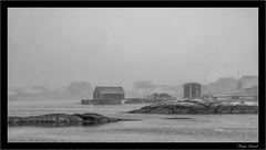 Fogo Island 13