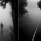 fog.ways