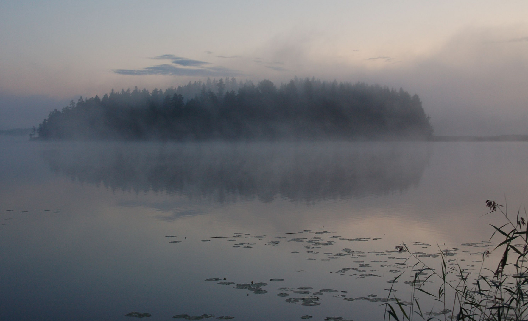 Fogy night in Ruuhijärvi